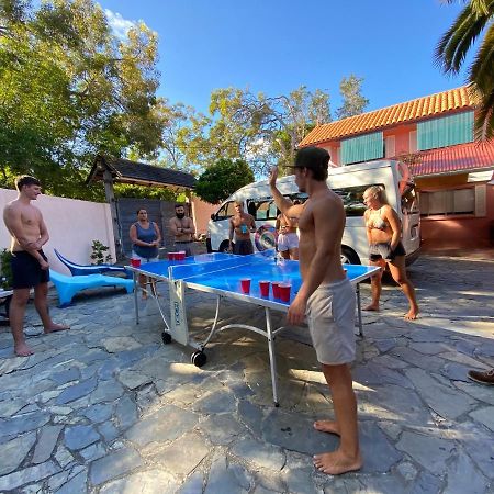 Dolphins Backpackers Vandrarhem Sunshine Beach Exteriör bild